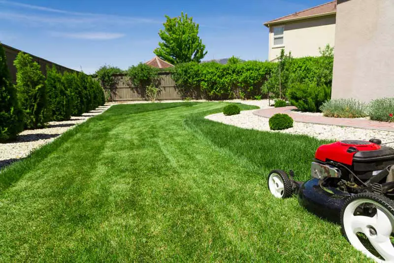 Beautiful green lawn and mower